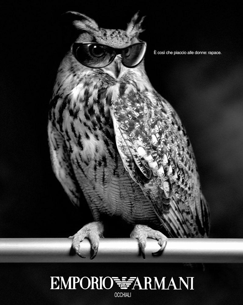 Emporio Armani Eyewear Campaign — Horned Owl